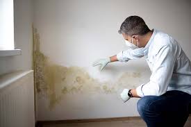 Best Emergency Mold Remediation  in Broad Creek, NC